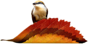 őszi állatok_111.png